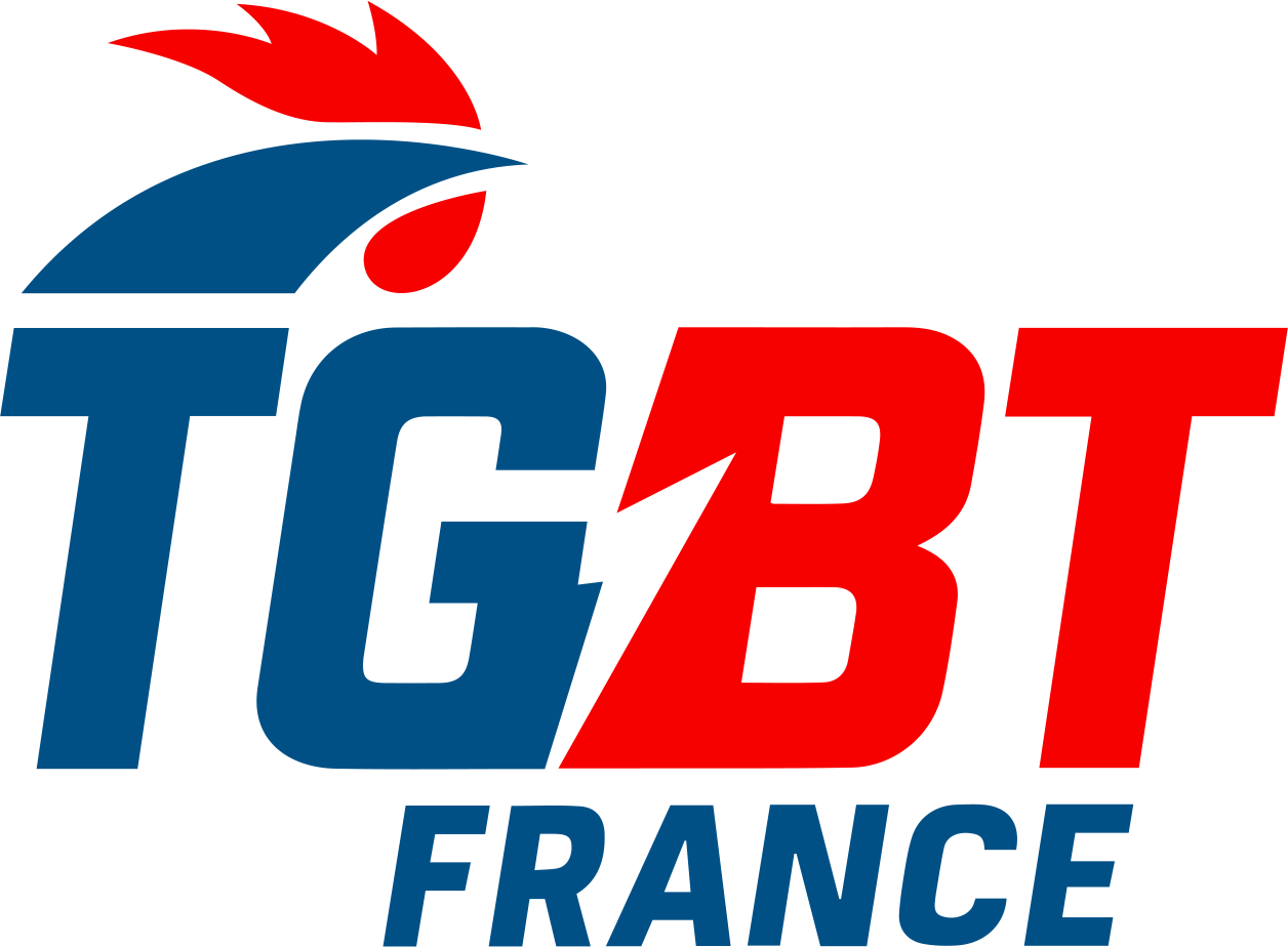 Maintenance / Dépannage haute tension en Occitanie